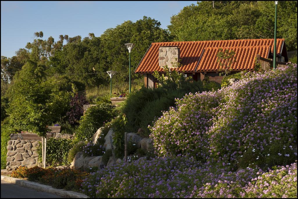 Merom Golan Resort Extérieur photo